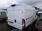 preview Fiat Ducato #2