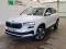 preview Skoda Karoq #0