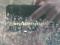preview Opel Astra #2