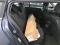 preview Renault Megane #5