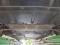 preview BMW 318 #4