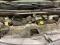 preview Renault Trafic #5