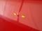 preview Citroen Berlingo #5