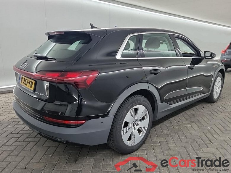 Audi E-Tron 55 Quattro Aut. LED-Matrix Virtual Navi KeylessGo Klima PDC ... #3