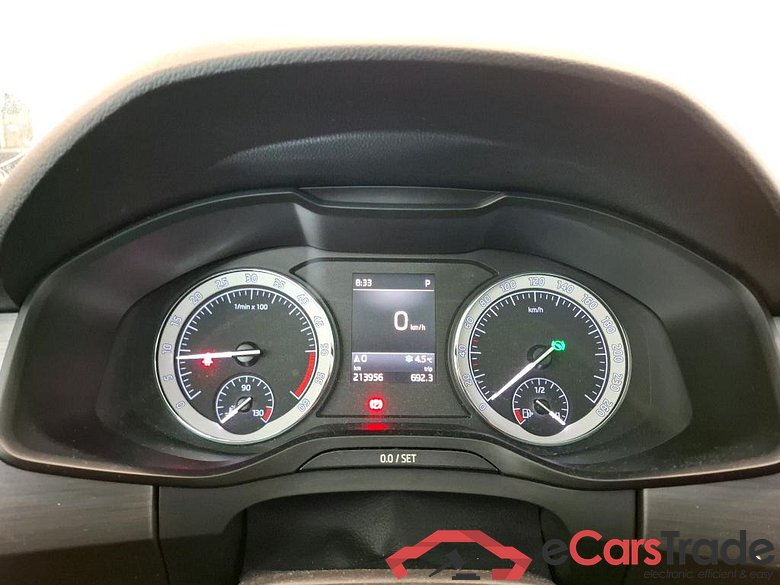 Kodiaq Business 2.0 TDI 150CV BVA7 E6dT #6