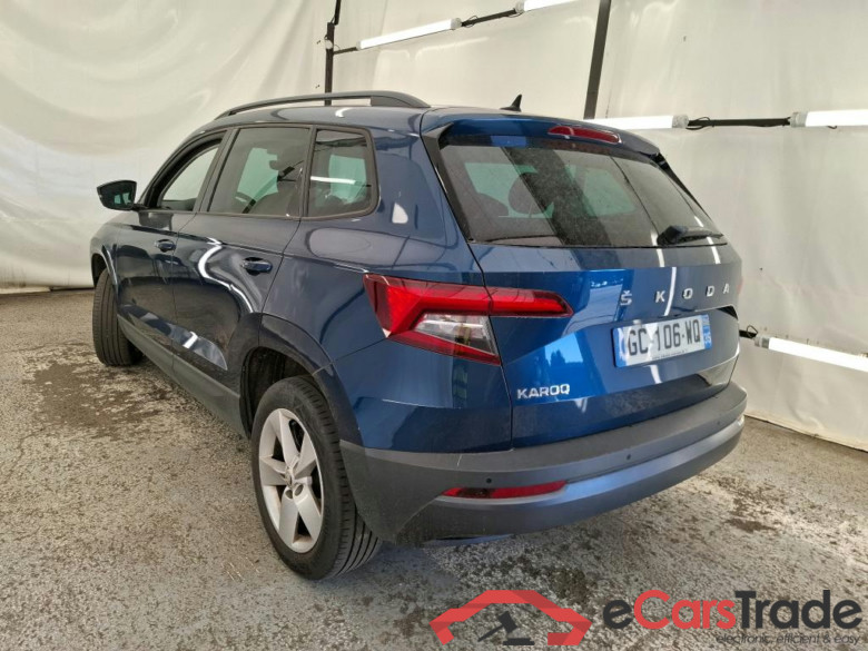 Karoq Business 2.0 TDI 115CV BVA7 E6d #2