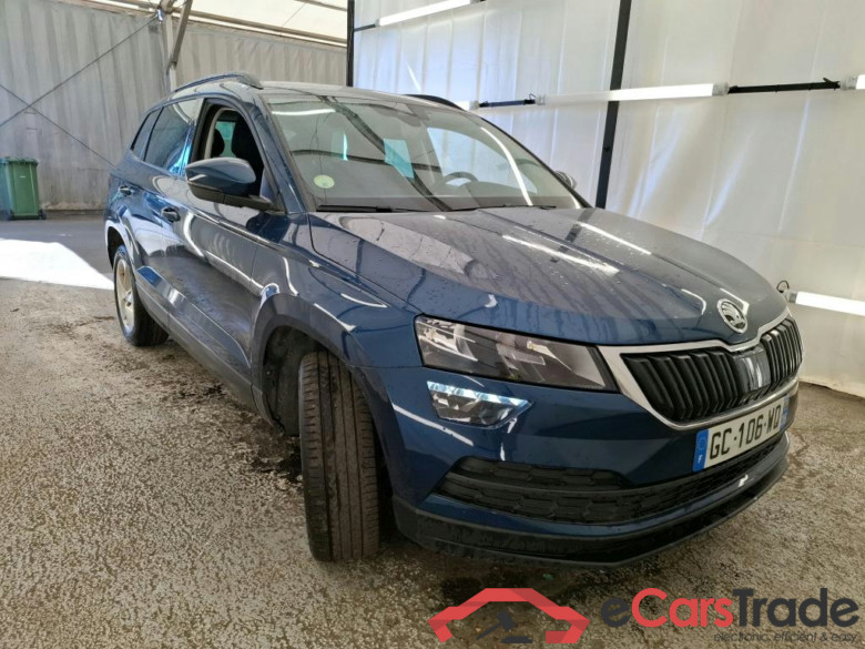 Karoq Business 2.0 TDI 115CV BVA7 E6d #4