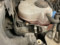 preview Volkswagen Tiguan #5