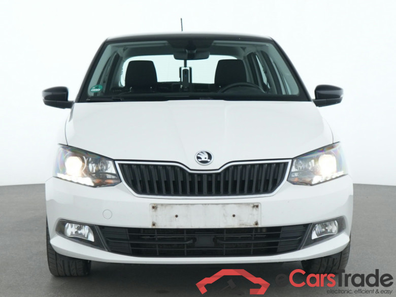 Skoda Fabia (Inzahlungnahme MwSt. nicht ausweisbar) 1.2 TSI EU6, Style Green tec #2