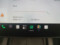 preview Tesla Model Y #5