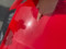preview Seat Ibiza #5