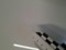 preview Tesla Model 3 #2