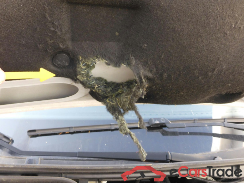 Transit Kasten 310 L3 Trend 2.0 TDCi 96KW MT6 E6d #3