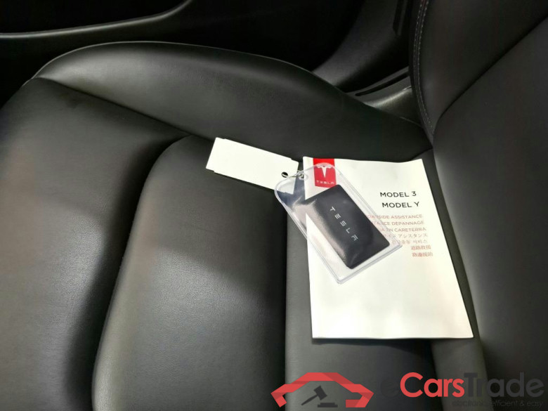 Tesla Model 3 175 kW #6