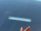 preview Skoda Enyaq #2
