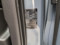 preview Volvo XC40 #3