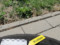 preview Mercedes C 300 #5