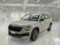 preview Skoda Kodiaq #0