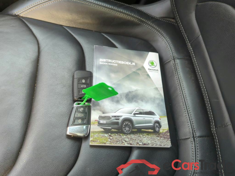 SKODA Kodiaq 110 kW #6