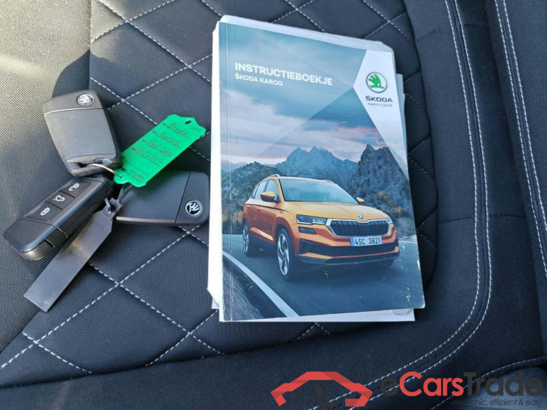 SKODA Karoq 110 kW #6