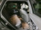preview Mercedes GLC 300 #5