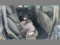 preview Volkswagen Touran #4