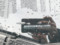 preview Volkswagen Polo #1